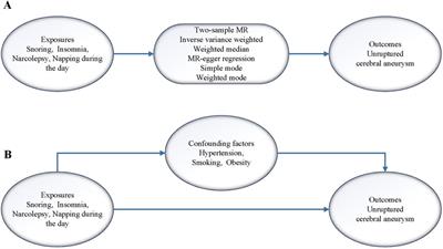 The impact of sleep problems on cerebral aneurysm risk is mediated by hypertension: a mediated Mendelian randomization study